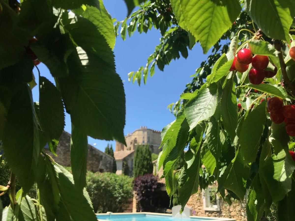 Les Aiguieres En Provence Bed & Breakfast Suze-la-Rousse Ngoại thất bức ảnh