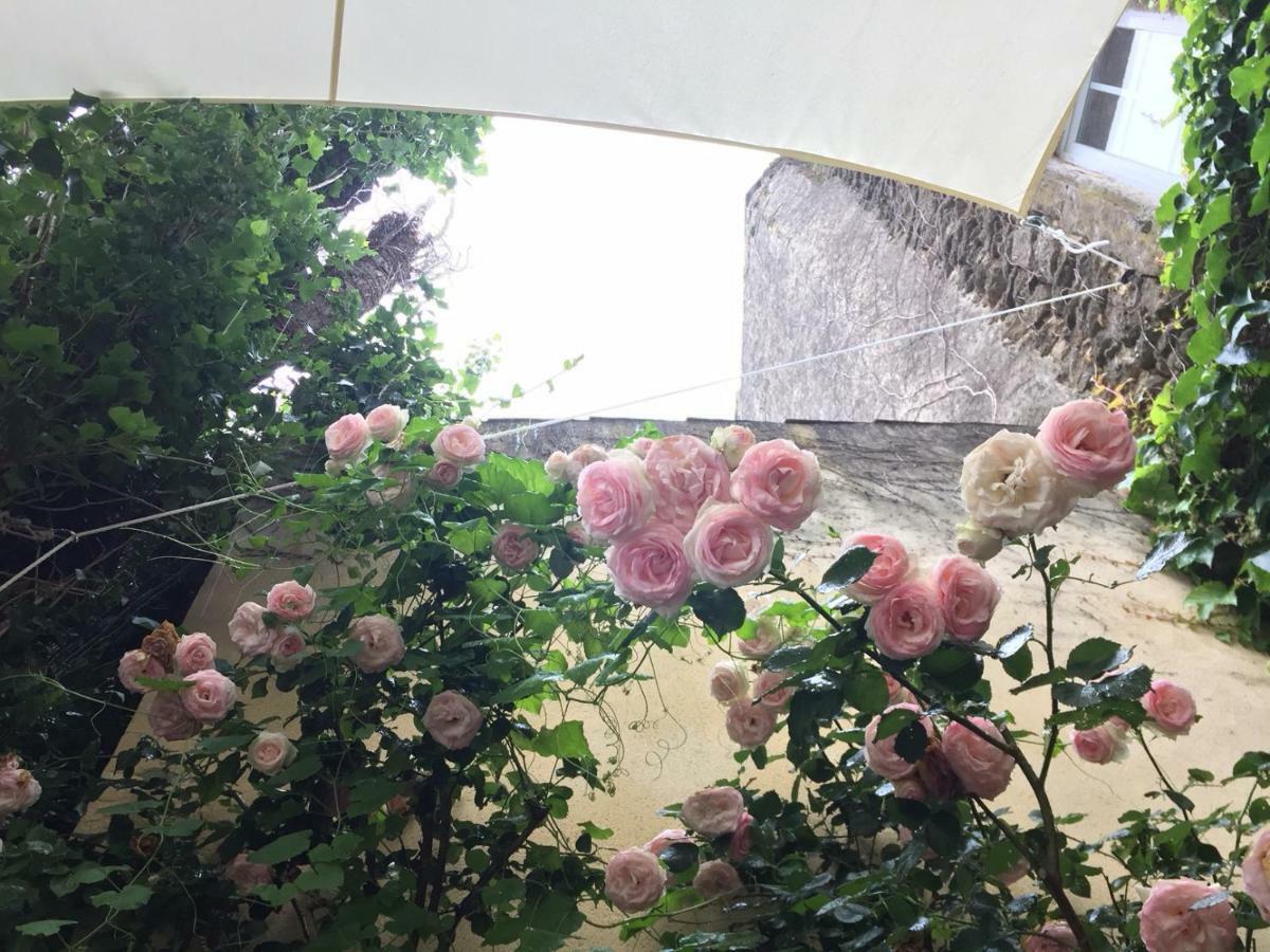 Les Aiguieres En Provence Bed & Breakfast Suze-la-Rousse Ngoại thất bức ảnh